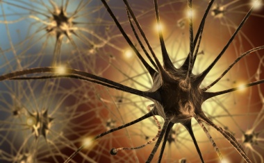 Newron Licenses Schizophrenia Treatment to EA Pharma
