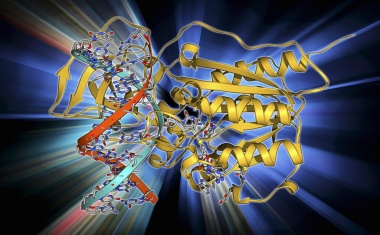 Platformizaton of Molecular Design