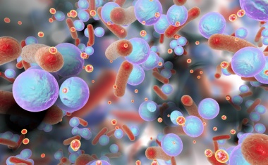 Boehringer Ingelheim, Evotec and BioMérieux Link on AMR