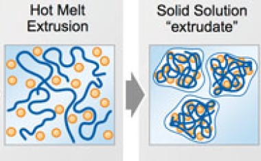 Hot Melt Extrusion Technology (HME)