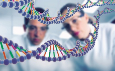 The Future Lies in the Genome