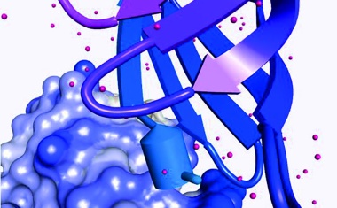 Quantum Computational Toxicology