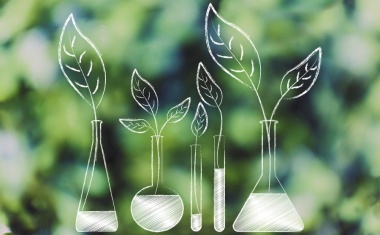 The Age of Sustainability