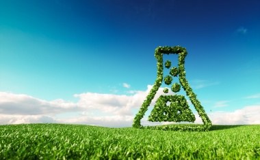 The EU Goes Green