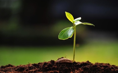 Syngenta Opens Biological Seed Treatment Center in Germany