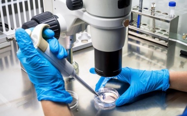 Novartis Pledges to Fight Tropical Diseases and Malaria