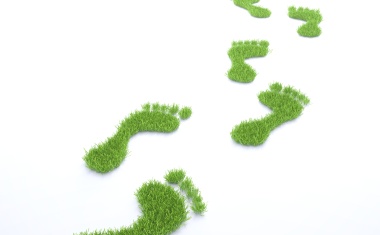 Catalyzing Growth and Addressing Sustainability Challenges