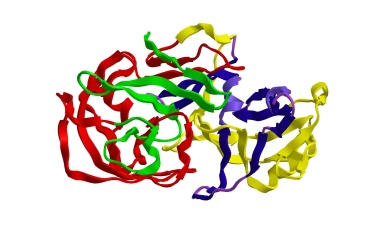 Expert Webinar: Platformizaton of Molecular Design
