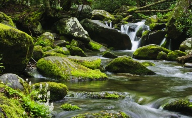 Flow Chemistry: Key Technology for Sustainable Processes