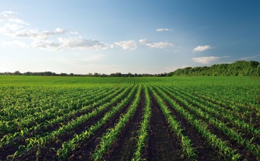 Syngenta and Bioceres Collaborate on Crops