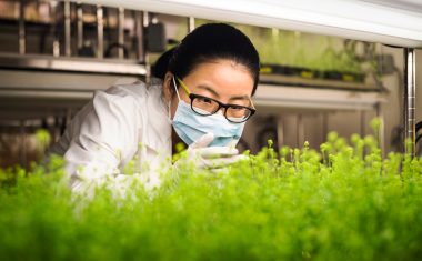 Syngenta Group Cultivates Cross-Industry Collaborations for Agricultural Solutions