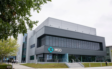 US Drugmaker Merck & Co. to Add Jobs in Ireland